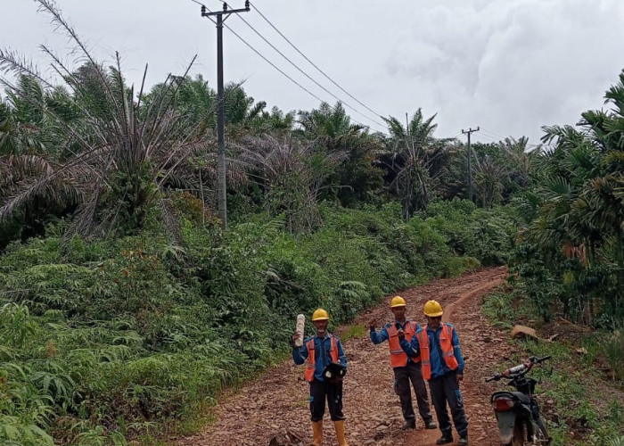 Menjemput Fajar di Pelosok Muara Dua: PLN Sinergikan Harapan, Wujudkan Mimpi Listrik Desa yang Merdeka!