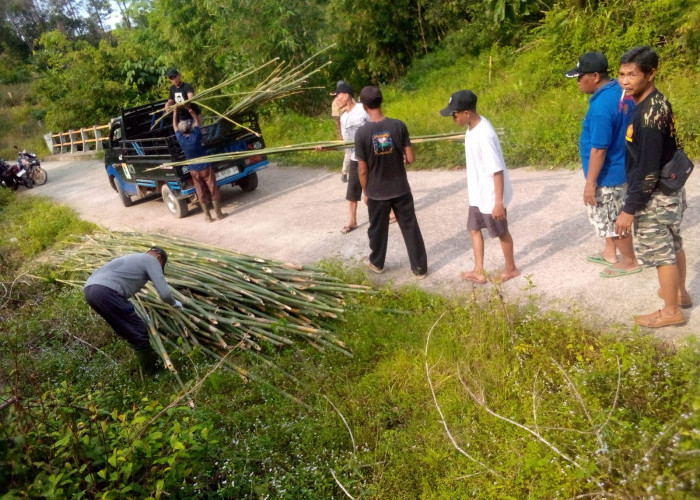 Foto Gotong Royong GP Ansor Lahat Mengumpulkan Bambu