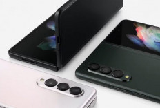 Wajib Diketahui, Nih 5 Rekomendasi HP Samsung Terbaru 2026