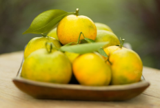 5 Makanan dan Tanaman Obat Cocok Meningkatkan Penyuburan Kandungan, Kaya Vitamin C, Kalsium, Zat Besi..