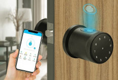 Yuk Intip 6 Smart Door Lock Terbaik 2024, Punya Fitur Sidik Jari atau Pin