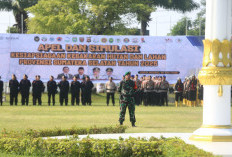 Sumsel Tuai Apresiasi Nasional, Herman Deru Dinilai Sukses Kendalikan Karhutla