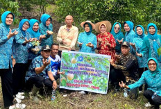 Dukung GSMP, Ketua TP PKK Empat Lawang Tinjau Kebun Pala di Desa Galang