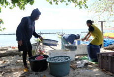 Layanan SuperSUN PLN, Inovasi Listrik Bersih 24 Jam, Dukung Kemajuan Masyarakat Kepulauan di Sulawesi Selatan