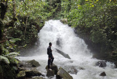 Air Terjun Tujuh Panggung Simpan Pesona Menakjubkan