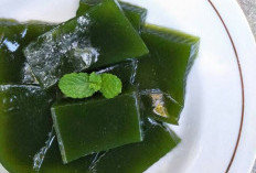 3 Manfaat Cincau Hijau Untuk Radang Lambung Hingga Darah Tinggi, Yuk Kita Simak!