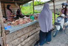 Harga Ayam di Empat Lawang Masih Tinggi Pasca Idul Fitri 1447 H