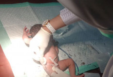 Bayi Perempuan Tanpa Identitas Ditemukan di Pinggir Jalan, Dalam Penanganan Medis