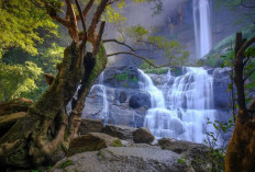 Curug Cikanteh, Tempat Yang Cocok Untuk Menikmati Keindahan Alam Yang Alami