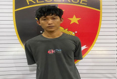 Polsek Pendopo Tangkap DPO Kasus Pencurian Granit dan Keramik, Puluhan Dus Barang Bukti Diamankan
