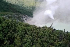 Mengenal Gunung Patah: Jalur Pendakian Ekstrem dan Habitat Tumbuhan Langka di Bengkulu!