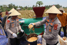 Kapolres Lahat Bersama Forkopimda Hadiri Panen Raya Jagung Serentak 2025