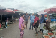 Harga Cabe Berangsur Turun