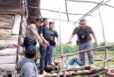 Anak Empat Tahun di Sandera, Penyelamatan Melalui Negosiasi Insentif Selama Dua Jam