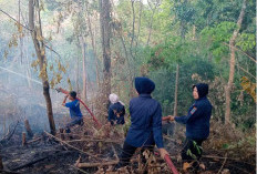 Satu Titik Api Bisa Jadi Bencana, Damkar Terus Ingatkan