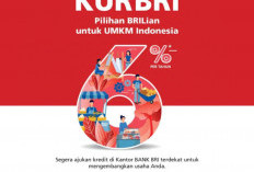 Program KUR BRI: Solusi Finansial Andalan untuk UMKM, Dorong Pertumbuhan Ekonomi Lokal