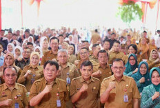 Ibu Negara Canangkan Gerakan Tanam (Gertam) Cabai Serentak se-Indonesia, TP PKK Sumsel Lakukan ini