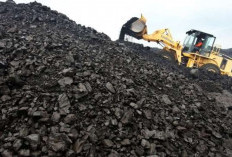 Produksi Batu Bara Lahat Tembus 14,4 Juta Ton Pada Kuartal 1 Tahun 2025