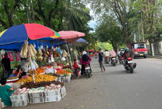 Pasar Buah Diabaikan, Pedagang Masih Berjualan di Bahu Jalan Lematang Lahat