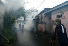 20 RT Talang Jawa Selatan Jalani Fogging