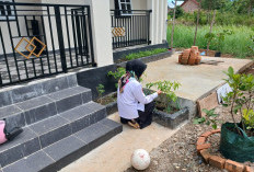 Tak Perlu Lahan Luas, Juita Buktikan Berkebun Bisa Hemat dan Mandiri