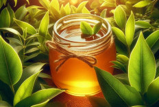 Tanaman Obat Madu dan Daun Sirsak, Dua Bahan Alami sebagai Obat Tradisional Insomnia