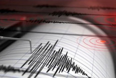 Waspada! Mengenal Megathrust Yang Berpotensi Guncangkan Indonesia