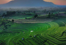 Gunung Putri Bogor, Tujuan Populer Bagi Para Pendaki dan Wisatawan