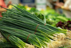 Simak! 5 Manfaat Tanaman Obat Daun Bawang Cocok Untuk Ibu Hamil dan Janin