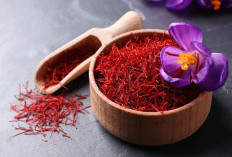Saffron! Tanaman Obat Termahal dengan Manfaat Psikis, Estetika, dan Sejarah yang Mendalam
