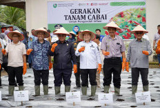 Serius ﻿Kendalikan Inflasi, Pj Gubernur  Elen Setiadi  Luncurkan Gerakan Tanam Cabai dan Bawang Merah Serentak