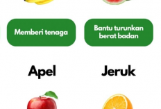 6 Menu Tanaman Obat Buah Bikin Diet Membantu Menurunkan Asam Lambung 