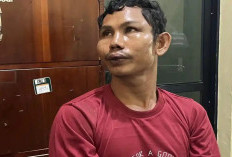 Tragis di Balik Kebun Kopi, Menantu Tega Habisi Nyawa Mertua karena Perselisihan Hasil Panen