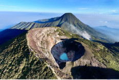 Melihat Keindahan Gunung Gede, Yang Menjadi Tujuan Para Pendaki dan Pecinta Alam