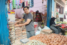 Memasuki Bulan September, Harga Bahan Pokok Naik Turun