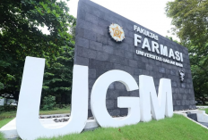 Update! Inilah 5 Top Universitas Terbaik 2025, Nomor 1 UGM
