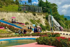 Wisatawan Membludak!! Agrowisata Tanjung Sakti Makin Tunjukan Pesona Estetik