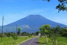 Tips untuk Mencegah Hipotermia Saat Mendaki Gunung, Kalian Boleh Coba Langkah Ini!