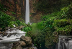 Air Terjun Kapas Biru Lumajang, Menawarkan Pesona Alam Yang Menakjubkan