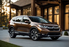 Honda CR-V Bertransformasi Jadi Camper Van Dadakan, Fitur Unik Terungkap!