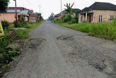 Jalan Berlubang Bermunculan