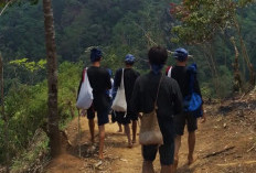 Menyibak Kehidupan Suku Baduy: Harmoni dengan Alam Tanpa Teknologi