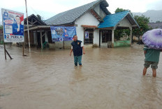 27 Rumah Hingga Puluhan Sawah Terendam Banjir