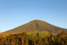 Misteri Gunung Dempo: Kisah-Kisah yang Hidup di Lereng Gunung Tertinggi Sumatera Selatan