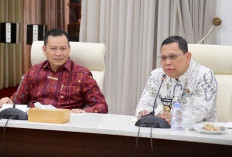  Pj Gubernur Terima Audiensi Pj Wako Palembang, Ini Topik yang Dibahas