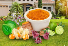 Kaya Nutrisi, 10 Jenis Tanaman Obat untuk Kesehatan