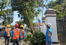 Waspada Hujan Lebat, Simak Langkah Antisipasi Bahaya dari PLN