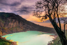 Kawah Putih di Ciwidey, Keajaiban Alam di Tengah Jawa Barat