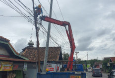 PLN Lembayung Tindaklanjuti Perbaikan Kabel Menjuntai