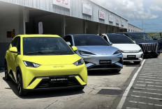 Pemerintah RI Targetkan Penjualan Kendaraan Listrik Sebanyak 100.000 Per Akhir 2025